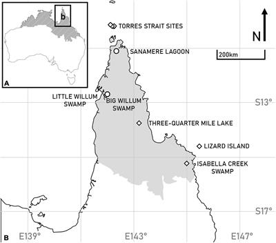 Multiproxy Holocene Fire Records From the Tropical Savannas of Northern Cape York Peninsula, Queensland, Australia